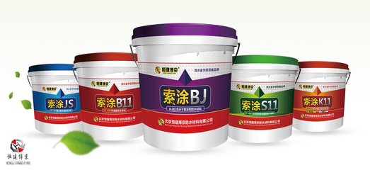 高分子防水涂料价格解析 从成本到选购的全面指南